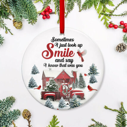 Red Truck Cardinal Sometimes I Just Look Up - Circle Ornament - Owl Ohh