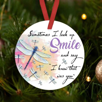 Dragonfly Sometimes I Look Up Smile - Circle Ornament - Owl Ohh - Owl Ohh