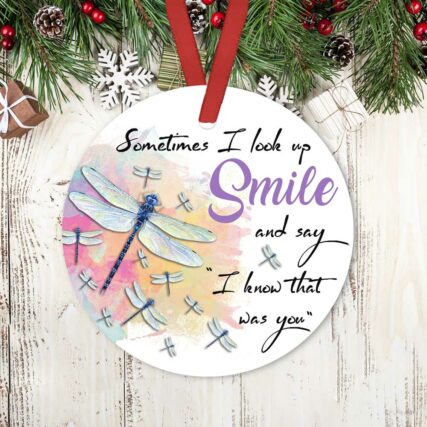 Dragonfly Sometimes I Look Up Smile - Circle Ornament - Owl Ohh - Owl Ohh