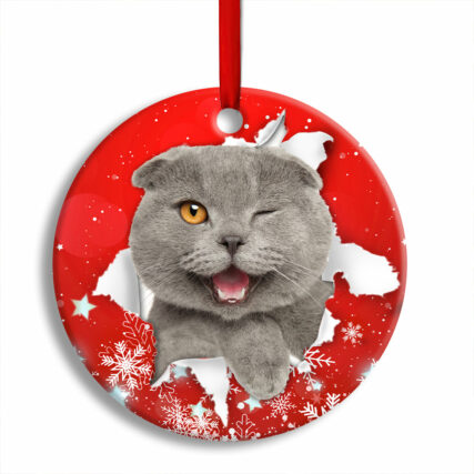 Christmas Cat Funny Kitten Red Background Winter Snowy - Circle Ornament - Owl Ohh - Owl Ohh