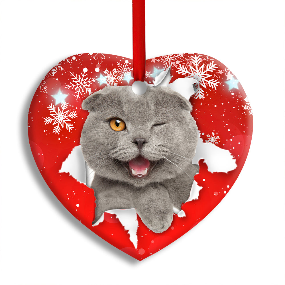 Christmas Cat Funny Kitten Red Background Winter Snowy - Heart Ornament - Owl Ohh - Owl Ohh
