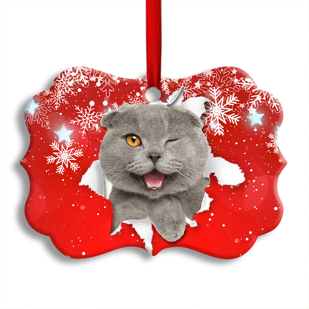 Christmas Cat Funny Kitten Red Background Winter Snowy - Horizontal Ornament - Owl Ohh - Owl Ohh