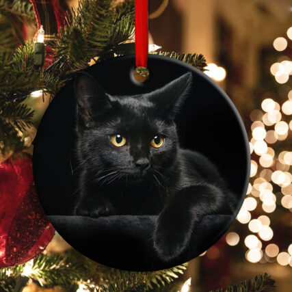 Black Cat Kitty Lover - Circle Ornament - Owl Ohh - Owl Ohh