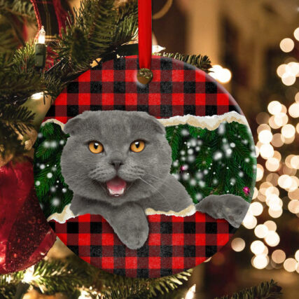 Christmas Cat Happy Meowy Xmas - Circle Ornament - Owl Ohh - Owl Ohh