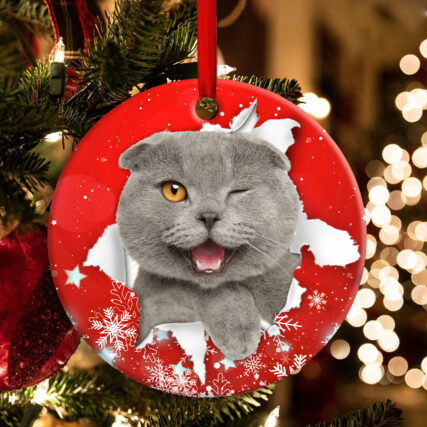 Christmas Cat Funny Kitten Red Background Winter Snowy - Circle Ornament - Owl Ohh - Owl Ohh