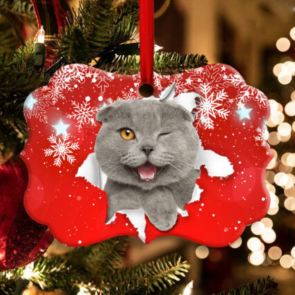 Christmas Cat Funny Kitten Red Background Winter Snowy - Horizontal Ornament - Owl Ohh - Owl Ohh