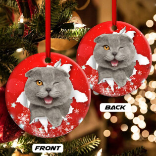 Christmas Cat Funny Kitten Red Background Winter Snowy - Circle Ornament - Owl Ohh - Owl Ohh