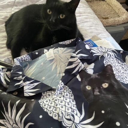 Custom Hawaiian Shirt With Pet Face | Personalized Gift For Pet Lovers | Pineapple Pattern Dark Navy Color Aloha Shirt