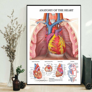 Cardiologist The Anatomy Of Heart - Vertical Poster - Owl Ohh - Owl Ohh